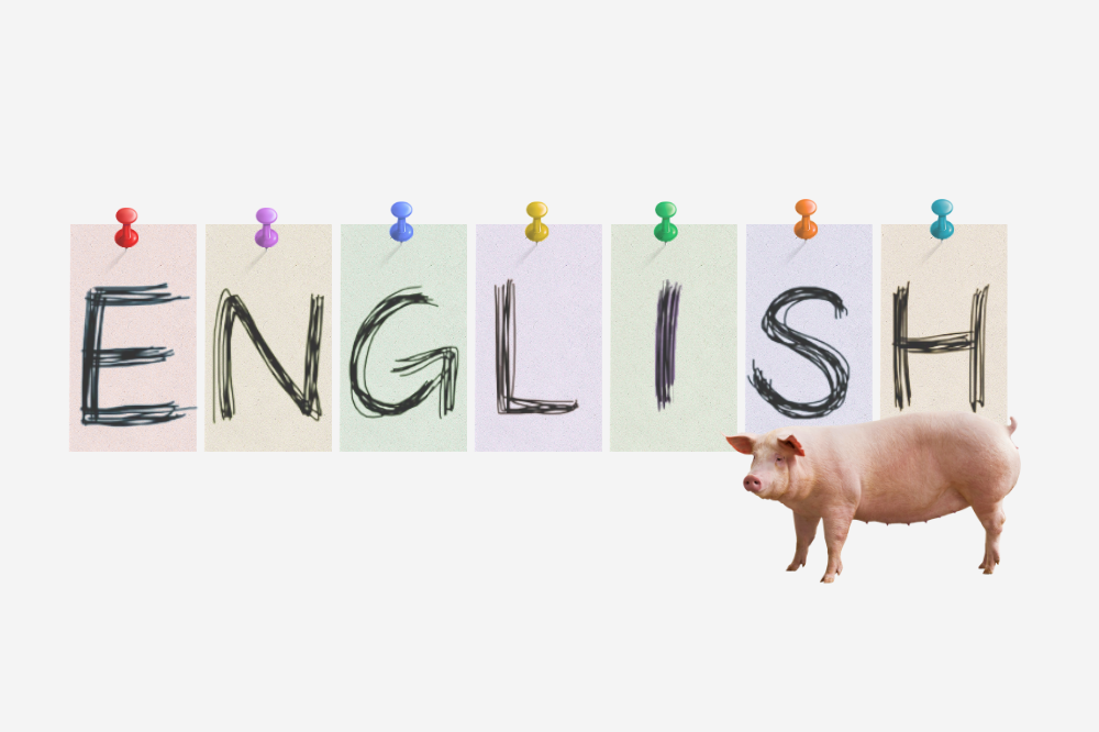 Practical English Course For Piggery