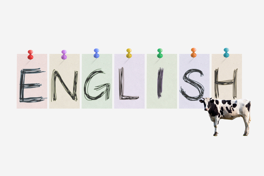 Practical English for Dairy